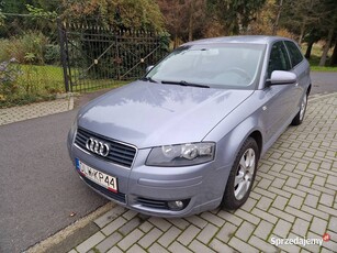 Audi A3 8P 1,6 benzyna