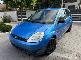 Ford Fiesta MK6 1.3 benzyna 2004r.