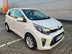 Używany Kia Picanto 2017