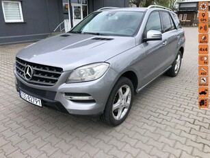 Używany Mercedes