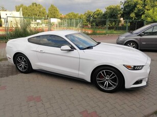 Ford Mustang VI Mustang, 61000 km, 317 KM, 2.3 ecoboost