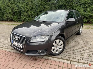 Audi a3 8P Lift 1.6mpi 102km * Klima * ALU * Super Stan *