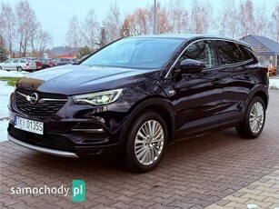 Opel Grandland X Inne