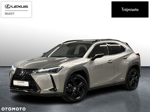 Używany Lexus UX 2021