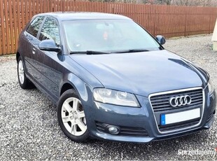 Audi A3 8p 2010r