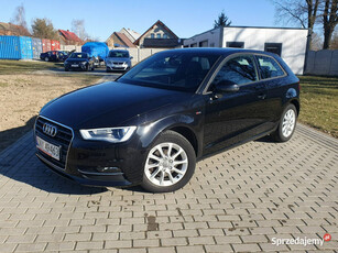 Audi A3 8V 1.6TDI Bixenon Ledy Radar Raty Zamiana 8V (2012-)