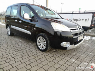 Citroen Berlingo II (2008-2018)