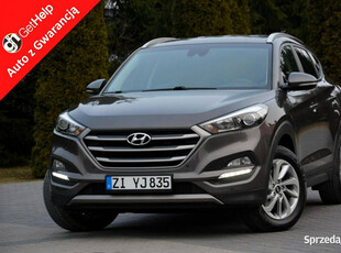 Hyundai Tucson Ledy Duża Navi Kamera 2XParktronic Klimatronic Asystent Pas…