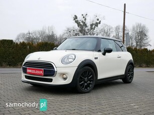 Mini Cooper Inne