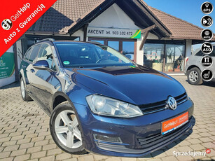 Volkswagen Golf Pełny serwis tylko ASO VW VII (2012-)