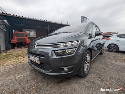 Citroen C4 Grand Picasso 7 osób 2016 2.0 diesel automat