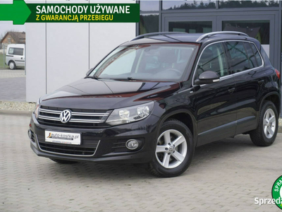 Volkswagen Tiguan Grzane fotele, Climatronic, Navi, Czujnik…