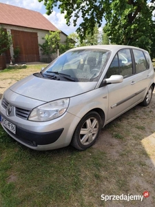 Syndyk sprzeda - Renault Scenic 2005r