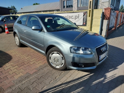 Audi A3 8P Hatchback 3d 1.6 102KM 2008