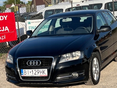 Audi A3 8P Hatchback 3d 1.6 TDI 105KM 2012