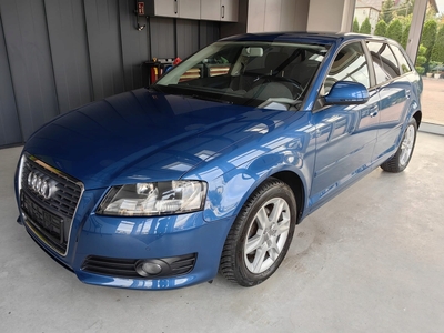 Audi A3 8P Hatchback 3d 1.6 TDI 90KM 2010