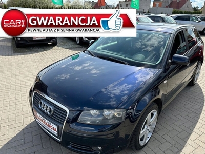 Audi A3 8P Hatchback 3d 1.9 TDI 105KM 2007