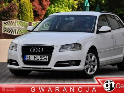 Audi A3 II (8P) 1,6 TDI 105KM Alufelgi PDC Klimatronik 1 Wł. Serwis z DE !!