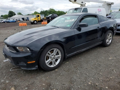 Ford Mustang V 2010