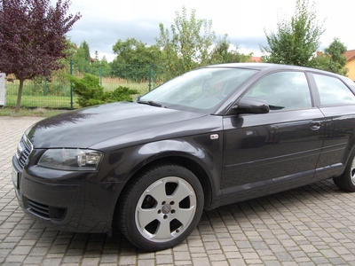 Audi A3 8P Hatchback 3d 1.6 102KM 2008