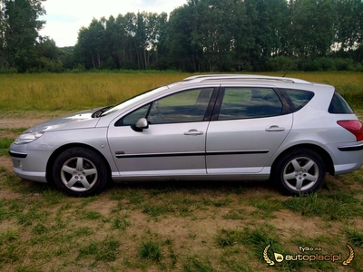 Peugeot 407