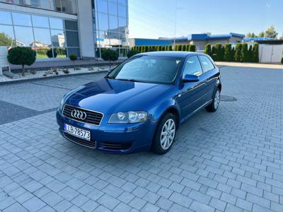 Audi A3 8P 1.6 MPI benzyna Hb 3d 102KM niski przebieg długie opłaty