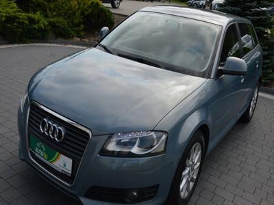 Audi A3 8P Hatchback 3d 1.4 TFSI 125KM 2009