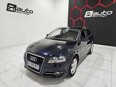 Audi A3 8P Hatchback 3d 1.6 TDI 105KM 2012