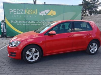 Volkswagen Golf VII Hatchback 3d 1.2 TSI 85KM 2012