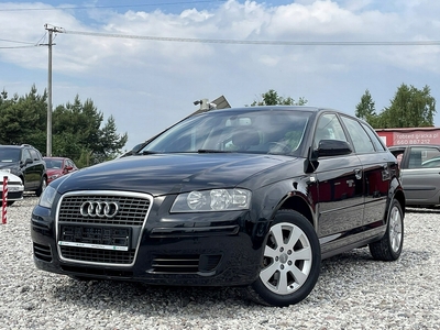 Audi A3 8P Hatchback 3d 1.6 102KM 2006