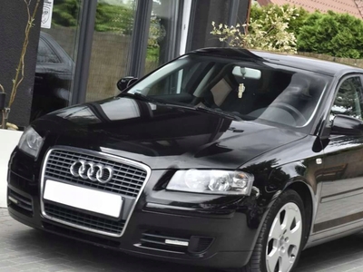 Audi A3 8P Hatchback 3d 1.9 TDI 105KM 2007