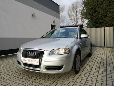 Audi A3 II (8P) 1.9 TDI 105KM # Klima # Elektryka # Po wymianie rozrządu