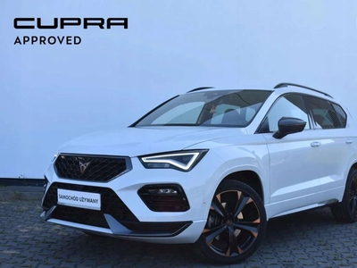 Cupra 2023