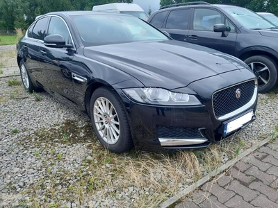 Jaguar XF X260 2.0D 180KM Kamera Cofania 360 Skóra