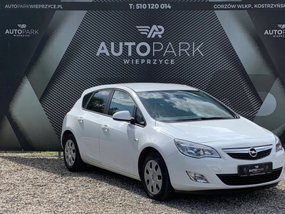 Opel Astra J Hatchback 5d 1.6 Twinport ECOTEC 115KM 2012