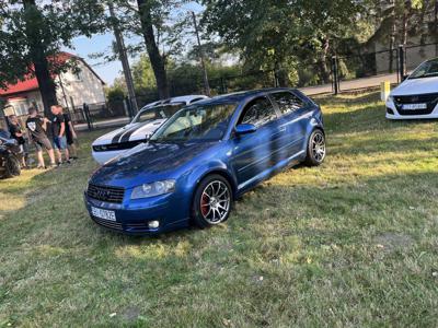 Audi A3 8P 2.0TDI 180km 390nm zamiana