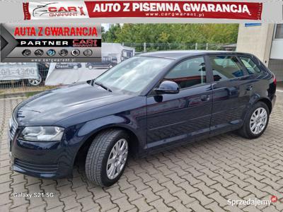 Audi A3 II LIFT 1.6 102 KM alufelgi climatronic gwarancja