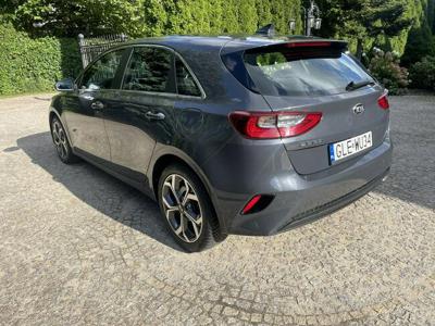 Kia Nowy Ceed Wersja Spirit, ACC, Kamera, Bi-LED, JBL Sound System