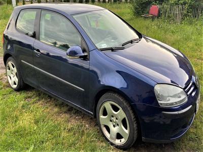 Volkswagen Golf V 1.6FSI 2004r.