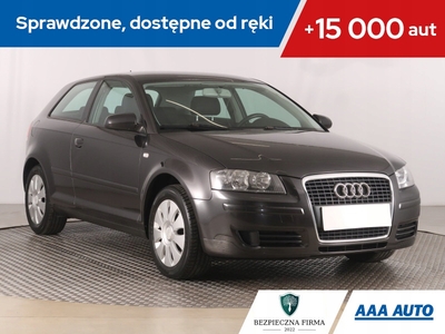 Audi A3 8P Hatchback 3d 2.0 TDI PD 140KM 2007