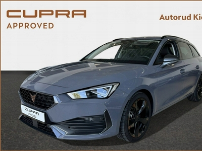 Cupra 2024