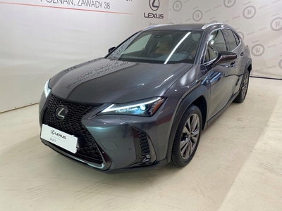 Lexus 2023