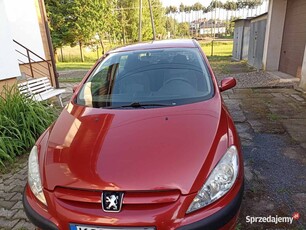 Peugeot 307 1,6 benzna