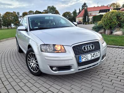 Audi A3 8P Hatchback 3d 1.6 102KM 2007