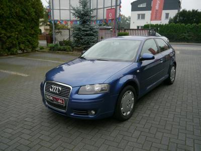 Audi A3 8P Hatchback 3d 1.6 102KM 2007