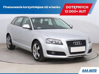 Audi A3 8P Hatchback 3d 1.6 102KM 2009