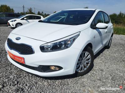 Kia Ceed 1.416vklima pdc stan bdb gwarancja przebiegu