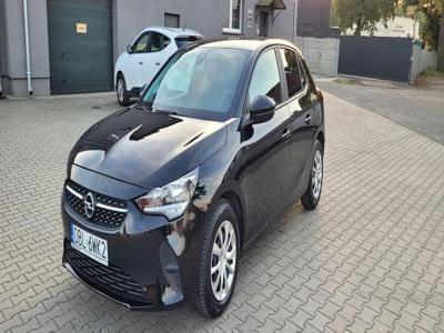 Opel Corsa F Hatchback 5d 1.2 75KM 2021