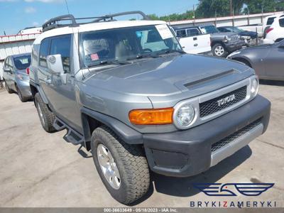 Toyota FJ Cruiser 2010