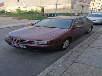 Używane Nissan Primera - 3 800 PLN, 240 000 km, 2001